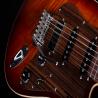 images/U-One_closeups/US-5000 Brown Burst/US-5000_RC_BRB_Close3_web.jpg